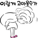 청담고양이 이미지