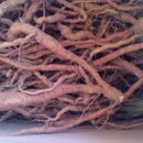 대박1농장 이미지