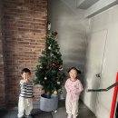 야옹이네 | 아이들과 함께 힐링한 수원 고양이카페, 야옹이네 체험후기 🐱