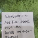 명품홍어무침
