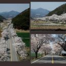 백전소재지 Daum카페