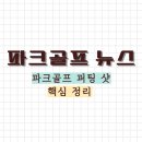 [파크골프 강의] 파크골프 퍼팅샷 치는 팁 이미지