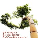 마루벌돌구이 군산점 이미지