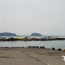 백호좌대 이미지