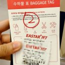 GS25부산세관점 | 부산김해출국 오키니와 항공권 나하공항 입국심사 입국신고서 후기 (ft.이스타항공)
