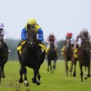 G1 trading 이미지