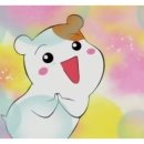 와우무인텔 이미지