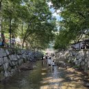 주록리계곡 루돌프 | 여주 주록리계곡 ‘루돌프’에서 피자 만들고 시원한 물놀이, 아이들과 최고의 주말!