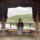 로이애견 이미지