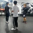 와룡복싱 이미지