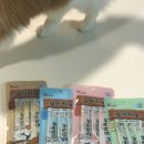 부석치킨 | 고양이 간식 추천 기호성 좋은 묘마카세 크리미 급여후기