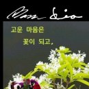 도현한의원 이미지