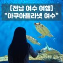 여수 실내 놀거리 여수 아쿠아플라넷 할인 공연 주차 솔직후기