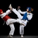 튼튼태권도 이미지