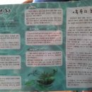청풍상회 이미지