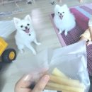 멍프레시 이미지