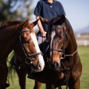 승마체험코스 이미지