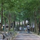 칠갑산자연휴양림 이미지