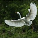 비석농산 이미지