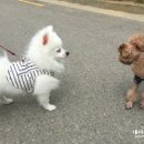 몽구PC 네이버블로그