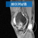 베이커마스터