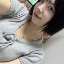 더조이드하우스