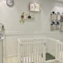 뽀도독(for the dog) 이미지