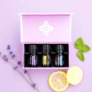 성인바디테라피 & 아로마만들기 (야간) | 도테라아로마 비누 &amp; 바디클렌저 만들기 수업 후기