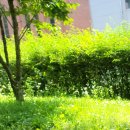 미소채움치과의원 이미지