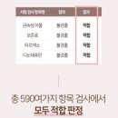 보이차 발효분말로 간편하게![골든케어] 명품 푸얼차 고농축 보이차 스틱 리얼후기!