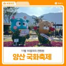 한마음어린이공원 화장실 | 2025 양산 국화축제 후기 ( 공연 일정, 주차, 푸드트럭 )