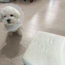 뚜레쥬르 대구용산점 | Just for fun!