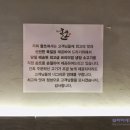 올쏘 이미지