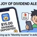 인컴소프트 | 토스증권 해외주식 배당금 입금 확인 방법 : 제세공과금 계산 및 알림 설정 팁