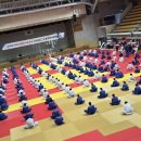 공명 유도 주짓수 이미지