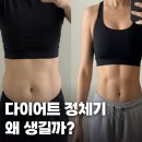 21.온양2동 행정복지센터 맞은편(행정) | 다이어트 정체기, 왜 올까? 쉽게 풀어쓴 원인과 해결법 | 봉명동PT 봉명동헬스장 피트니센스PT