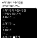 댕굴 댕굴 이미지