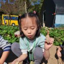 한성농장2 이미지