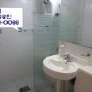 동조리젠시 이미지