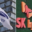 SK하이닉스(주) 이미지