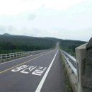 짤방커트 이미지