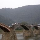 이교안경