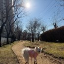 야옹아멍멍해봐(주월점) | "강아지용품점인데 사람이 더 설레는 이유" / 속초 야옹아멍멍해봐 후기