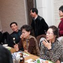 카페이서 Daum카페