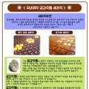 홈가구박사 이미지