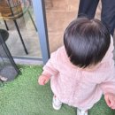 달리는커피금릉점