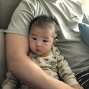 해담쓰담