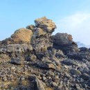 강정동-58 이미지