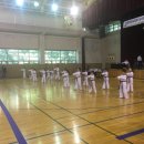 경희대 박사 Tiger kicks 태권도 이미지