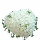 노인전문요양원 이미지